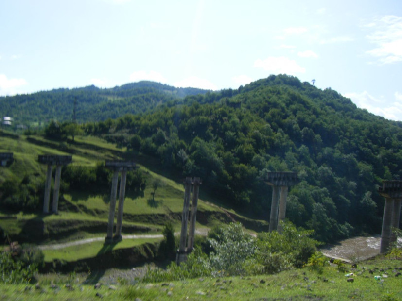 wikimedia_search