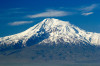 wikimedia_search