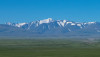 wikimedia_search