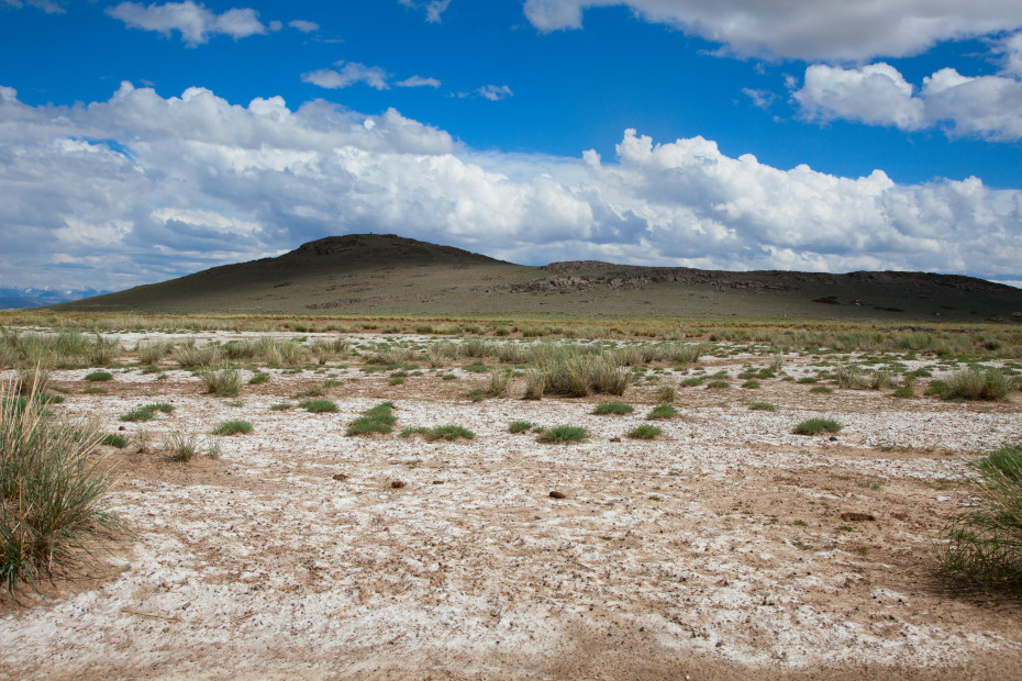 wikimedia_search