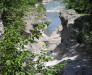 wikimedia_search