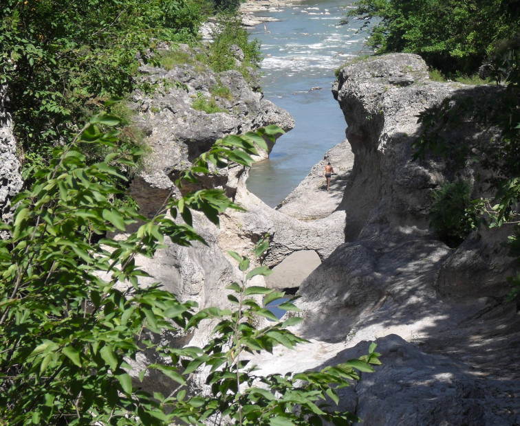 wikimedia_search