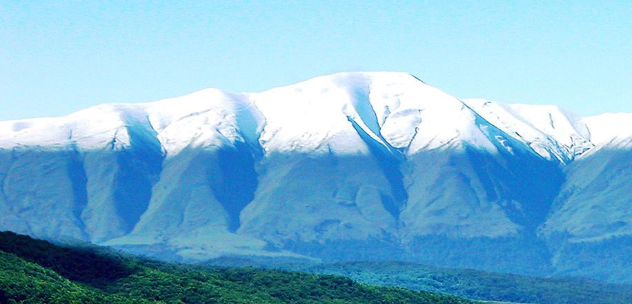 wikimedia_search