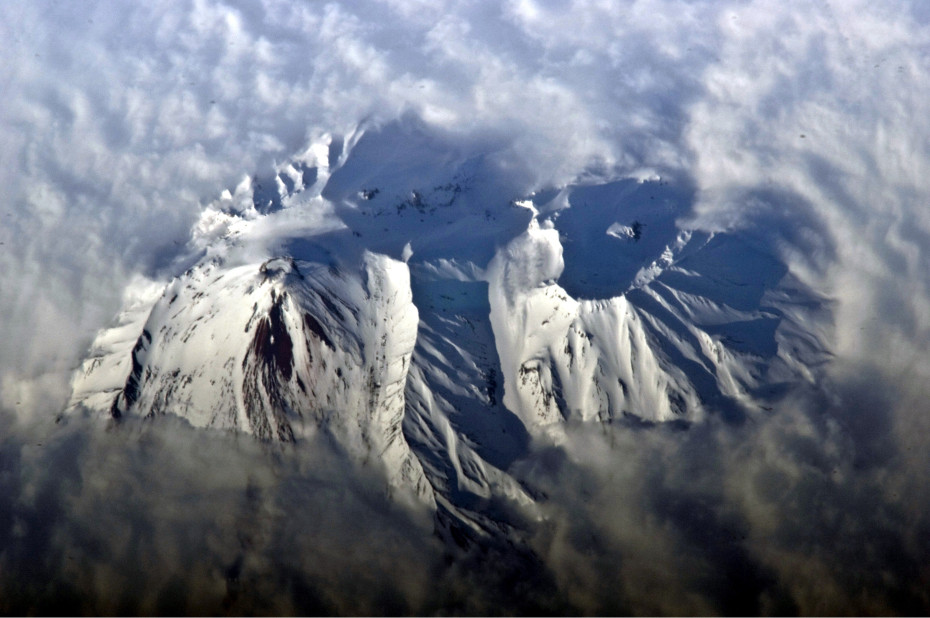 wikimedia_search