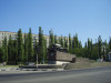 wikimedia_search