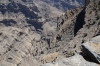 wikimedia_search