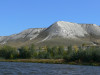 wikimedia_search