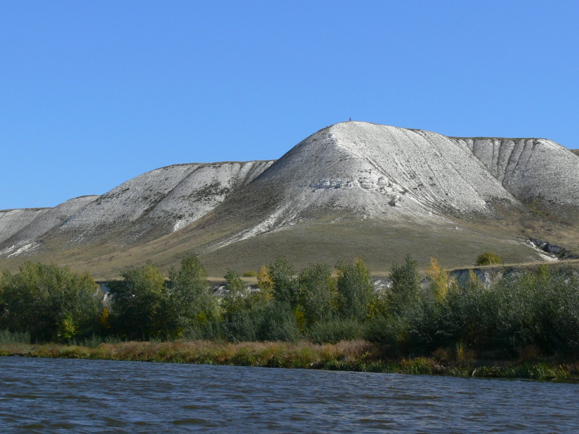 wikimedia_search