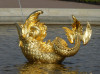 wikimedia_search