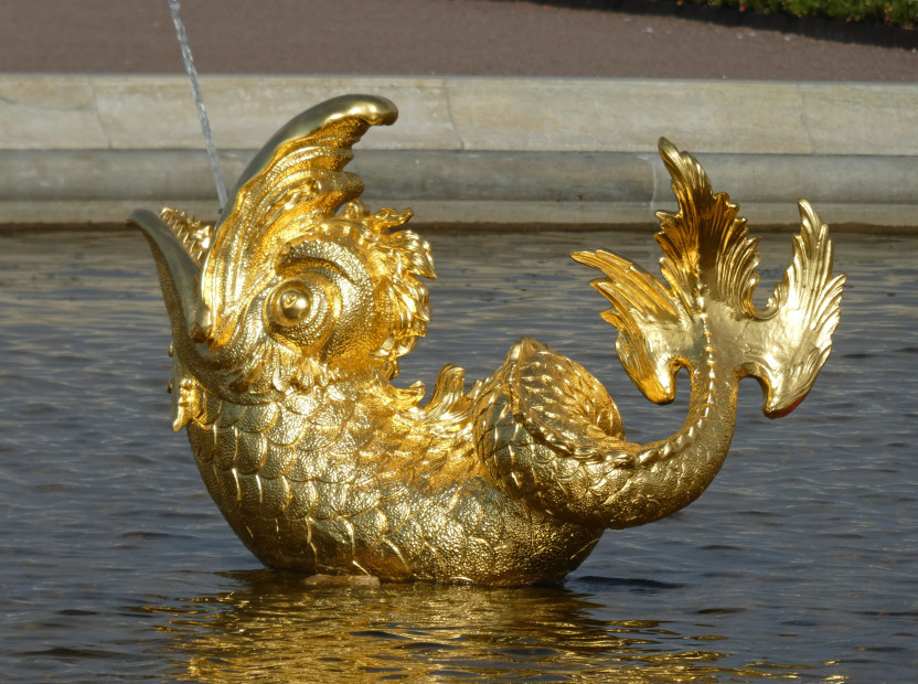 wikimedia_search