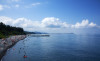 wikimedia_search