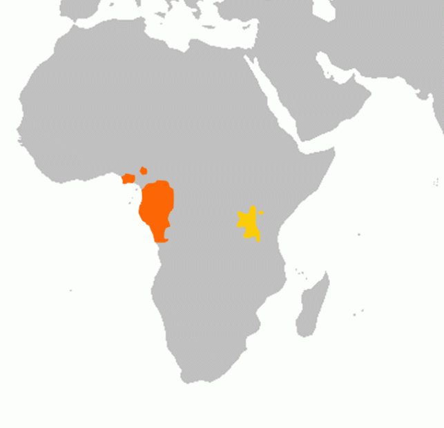 wikimedia_search