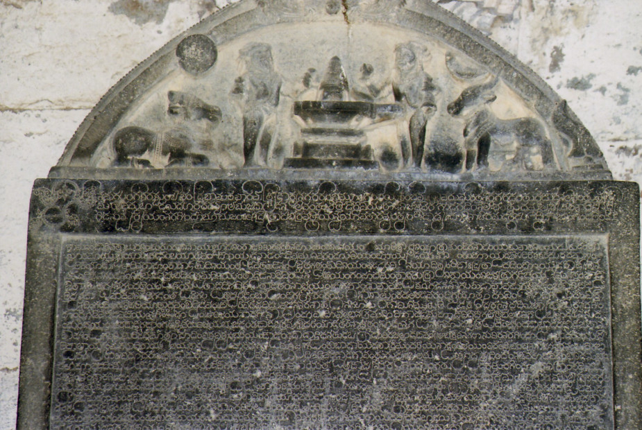 wikimedia_search