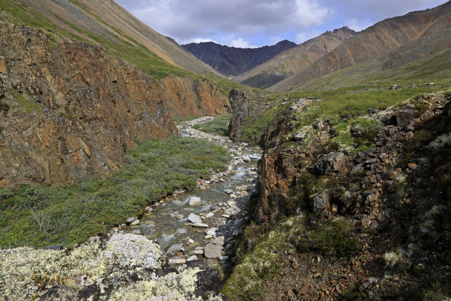wikimedia_search