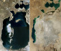 wikimedia_search